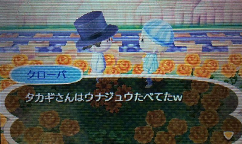 File:AChint5-11-2016 4.JPG