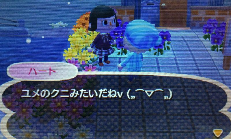 File:AChint12-12-2016 2.jpg