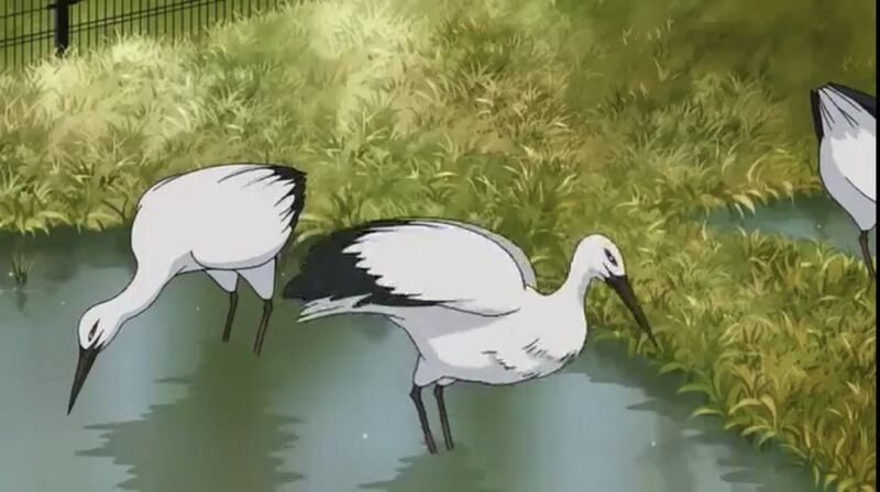 File:EP555-17.jpeg