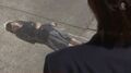 Thumbnail for version as of 15:51, 11 May 2012