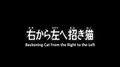 Thumbnail for version as of 06:11, 17 August 2009