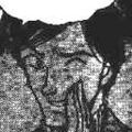 Thumbnail for version as of 10:02, 3 November 2013
