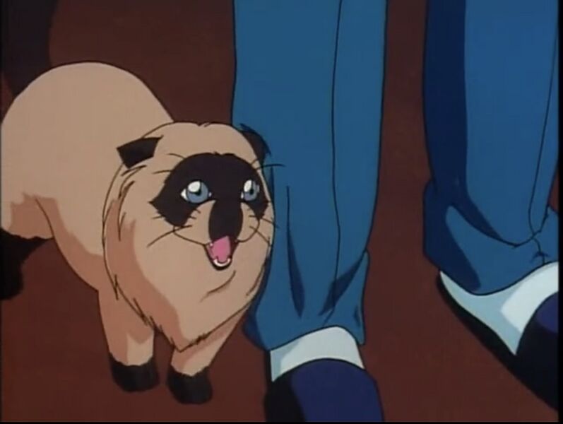 File:EP29 9.jpeg
