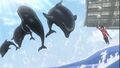Thumbnail for version as of 15:13, 1 December 2020