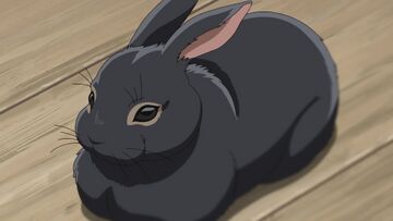Akemi Miyano's Time Capsule/Gallery - Detective Conan Wiki