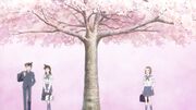 High school-age Shinichi, Ran, and Sonoko
