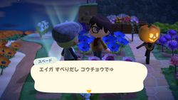 ACHint4-21-2025 1.jpg