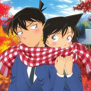 Shinichi Kudo and Ran Mouri - Detective Conan Wiki