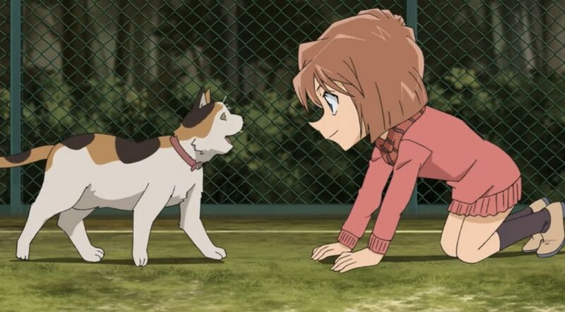 File:EP722-7.jpeg