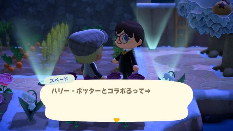 File:ACHint1-13-2025 2.jpg