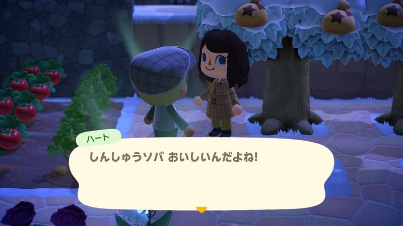 File:ACHint1-20-2025 2.jpg