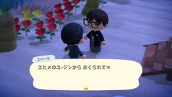 ACHint12-1-2026 1.JPG