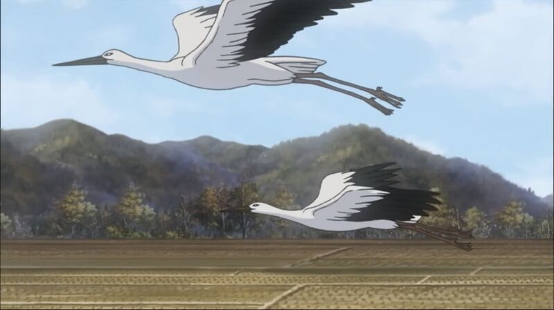 File:EP554-20.jpeg