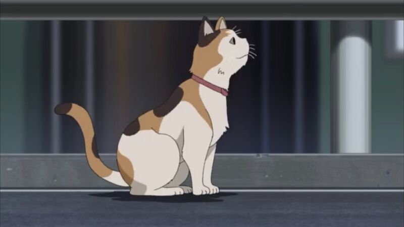 File:EP722 5.jpg