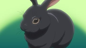 Akemi Miyano's Time Capsule/Gallery - Detective Conan Wiki