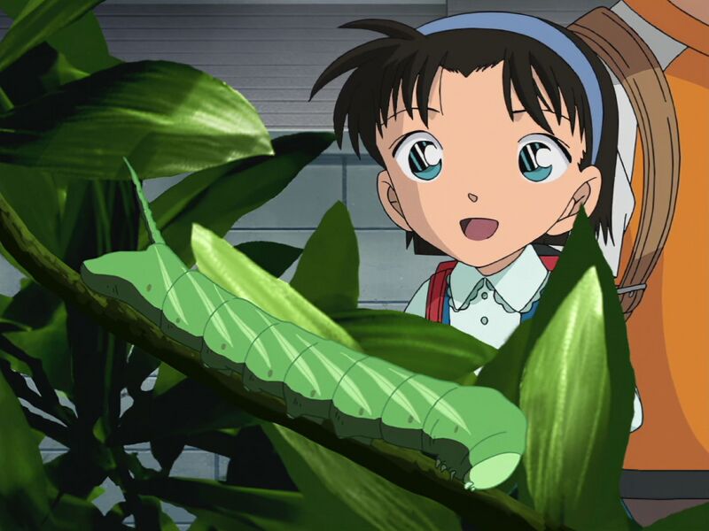 File:TV Episode 423.jpg