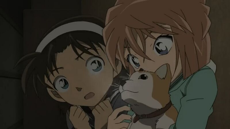 File:EP722-13.jpeg